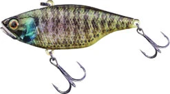Jackall TN 50/60/70 Lipless Crankbait -Rapala Store FishJackall TN RT HOLO BLUEGILL primary