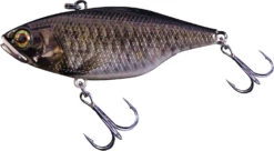 Jackall TN 50/60/70 Lipless Crankbait -Rapala Store FishJackall TN RT SCALE MINNOW primary
