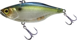 Jackall TN 50/60/70 Lipless Crankbait -Rapala Store FishJackall TN SG THREADFIN SHAD primary