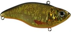 SPRO Aruku Shad 85 Lipless Crankbait -Rapala Store Gold Black 8f0d2503 a072 4b05 992d f0f48e8ae757