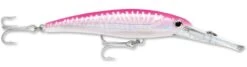Rapala X-Rap Magnum 40 Big Game Slash Bait -Rapala Store Hot Pink UV b24b35dc 2fca 4a2a b250 4347bf61c445