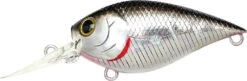 Lucky Craft LC 0.7 DR Deep Running Crankbait -Rapala Store LC 0 7DR 419BPGSN