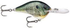 Rapala DT Series Crankbait DT16 -Rapala Store Live Bluegill 33de4d69 a516 4749 afce 604f7481303d