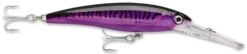 Rapala X-Rap Magnum 15 Big Game Slash Bait -Rapala Store Purple Mackerel d00f71db 7f8d 4089 b329 a26b6673365f
