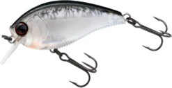 Yo-Zuri 3DB Crank 1.5 Shallow Squarebill Crankbait 30 Yo-Zuri 3DB Crank 1.5 Shallow Squarebill Crankbait -Rapala Store R1352 PBLS