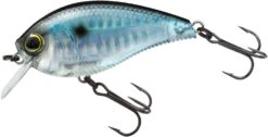 Yo-Zuri 3DB Crank 1.5 Shallow Squarebill Crankbait 32 Yo-Zuri 3DB Crank 1.5 Shallow Squarebill Crankbait -Rapala Store R1352 PSH