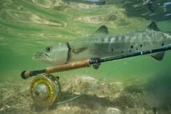 Sage SALT R8 // Saltwater Fly Rod -Rapala Store SALT R8 13 scaled