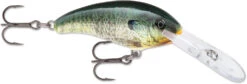 Rapala Shad Dancer SDD05 Medium Diving Crankbait -Rapala Store SDD BGL
