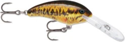 Rapala Shad Dancer SDD05 Medium Diving Crankbait -Rapala Store SDD SBL