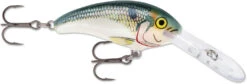 Rapala Shad Dancer SDD05 Medium Diving Crankbait -Rapala Store SDD SD