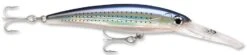 Rapala X-Rap Magnum 15 Big Game Slash Bait -Rapala Store Spotted Minnow 69a00102 1bb2 44d8 acfe c39acffec822