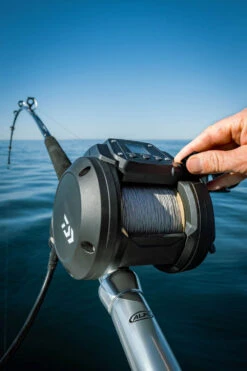 Daiwa Tanacom 800 Power Assist Electric Dendoh Reel -Rapala Store TANACOM 800 41
