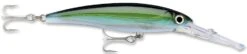 Rapala X-Rap Magnum 10 Big Game Slash Bait -Rapala Store Yellowfin Tuna add30b88 e845 4111 b00f a8081e56ef9b