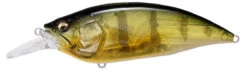 Megabass Big-M 4.0 Magnum Deep Diving Crankbait -Rapala Store big m40 gp pro perch 0db7837a f5b8 49a5 80f4 067dd94413d0