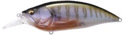 Megabass Big-M 4.0 Magnum Deep Diving Crankbait -Rapala Store big m40 secret gill 690f3e67 428c 468d 8400 a2d2a0ef7018