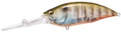 Megabass Big-M 7.5 Magnum Extra Deep Diving Crankbait 35 Megabass Big-M 7.5 Magnum Extra Deep Diving Crankbait -Rapala Store big m75 biwako clear gill e6066747 49ff 4ac7 bcb0 c24889f42772 scaled