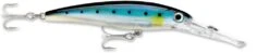 New Release -Rapala Store blue sardine 5712d778 19dc 4ba3 b099 9091dc8cbe7f