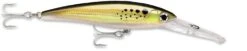 Rapala X-Rap Magnum 30 Big Game Slash Bait -Rapala Store bunker e98f4d72 699f 4d80 8997 f69d015a741f