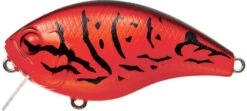 Evergreen International CH-1 Waking Crankbait -Rapala Store evergreen CH 1 064 firecraw