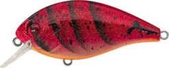 Evergreen International SH-3 Shallow Squarebill Crankbait -Rapala Store evergreen SH 3 223 speed craw