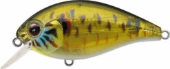 Evergreen International SH-3 Shallow Squarebill Crankbait -Rapala Store evergreen SH 3 286 skeleton pumpkinseed