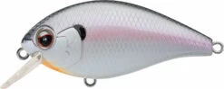 Evergreen International SH-3 Shallow Squarebill Crankbait -Rapala Store evergreen SH 3 362 cold shad