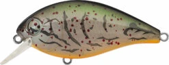 Evergreen International SH-3 Shallow Squarebill Crankbait -Rapala Store evergreen SH 3 363 albino craw
