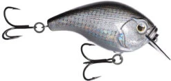 13 Fishing Scamp 1.5/2.5 Squarebill Crankbait -Rapala Store flipDisco shad