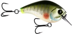 13 Fishing Scamp 1.5/2.5 Squarebill Crankbait -Rapala Store flipDream Gill