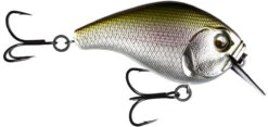 13 Fishing Scamp 1.5/2.5 Squarebill Crankbait -Rapala Store flipEpid Shad