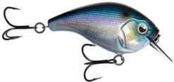 13 Fishing Scamp 1.5/2.5 Squarebill Crankbait -Rapala Store flipFantasy shad
