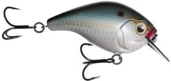 13 Fishing Scamp 1.5/2.5 Squarebill Crankbait -Rapala Store flipNatty night
