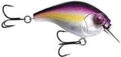 13 Fishing Scamp 1.5/2.5 Squarebill Crankbait -Rapala Store flipPurple Nurple