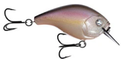 13 Fishing Scamp 1.5/2.5 Squarebill Crankbait -Rapala Store flipRegurgitated Shad