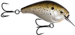 13 Fishing Scamp 1.5/2.5 Squarebill Crankbait -Rapala Store flipTruffle Butter