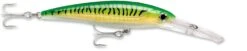 Rapala X-Rap Magnum 40 Big Game Slash Bait -Rapala Store gold green mackerel c36aafcc 55b7 4b87 b976 933cb1f68086