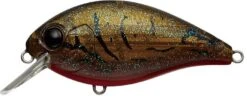Evergreen International SH-3 Shallow Squarebill Crankbait -Rapala Store olive 2Bcrawdad 23363e0d 36be 4924 8f26 7398934df3e2