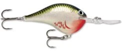 Rapala DT Series Crankbait DT16 -Rapala Store rapala dt10 bleeding olive shiner b0933817 f4b0 4dbd 8841 3fc7fccc6f40