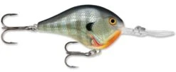 Rapala DT Series Crankbait DT16 -Rapala Store rapala dt10 bluegill f174ddf6 bff7 40b2 a370 19e4ee6a3db7