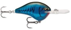 Rapala DT Series Crankbait DT16 -Rapala Store rapala dt10 bruised b13a611c e84f 463f 95a4 76e920b87378