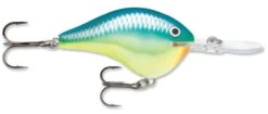 Rapala DT Series Crankbait DT16 -Rapala Store rapala dt10 caribbean shad f66bce04 fcc7 4052 82ab f212457de5b6