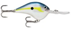Rapala DT Series Crankbait DT16 -Rapala Store rapala dt10 helsinki shad 253fd2ae 069a 40d2 b053 6723e7f76b03