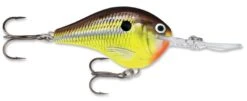 Rapala DT Series Crankbait DT16 -Rapala Store rapala dt10 hot mustard 847d0a2c 2be5 48b6 ab17 11f103d1180d