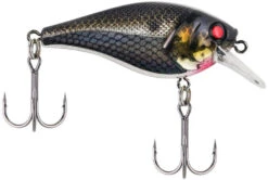 Berkley SquareBull 2 3/8 Inch Shallow Squarebill Crankbait -Rapala Store squarebull black silver a43ada4f f3fc 4f83 abd8 116ee7b133b0