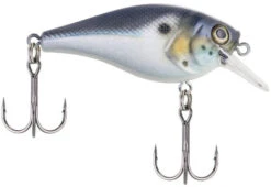 Berkley SquareBull 2 3/8 Inch Shallow Squarebill Crankbait -Rapala Store squarebull blue black 785f5c02 8d74 4391 8cff efb332981a52