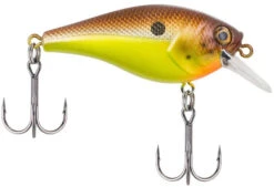 Berkley SquareBull 2 3/8 Inch Shallow Squarebill Crankbait -Rapala Store squarebull brown mustard 81da5849 8ea2 4f4e b46f 0980ead1b2b1