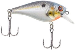 Berkley SquareBull 2 3/8 Inch Shallow Squarebill Crankbait -Rapala Store squarebull sexier shad 1d609b07 b72e 43cb ae5f 8f3b1f1c079e