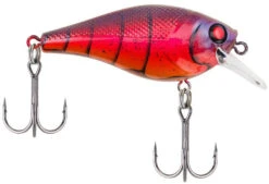 Berkley SquareBull 2 3/8 Inch Shallow Squarebill Crankbait -Rapala Store squarebull special red craw a3eeef37 c990 4d30 a2a4 9203d3981ecd