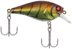 Berkley SquareBull 2 3/8 Inch Shallow Squarebill Crankbait -Rapala Store squarebull vintage craw 80989045 ac81 41fe b62e aacb608a8003
