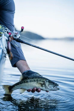 Temple Fork Outfitters Tactical Elite Bass Baitcasting Rods 22 Temple Fork Outfitters Tactical Elite Bass Baitcasting Rods -Rapala Store tfo tactical elite bass bottom banner lifestyle 1 1